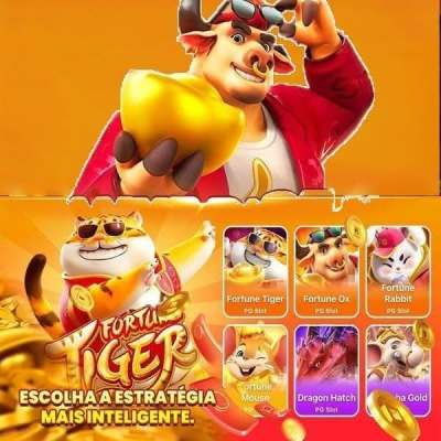 c333bet